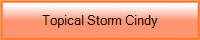 Topical Storm Cindy